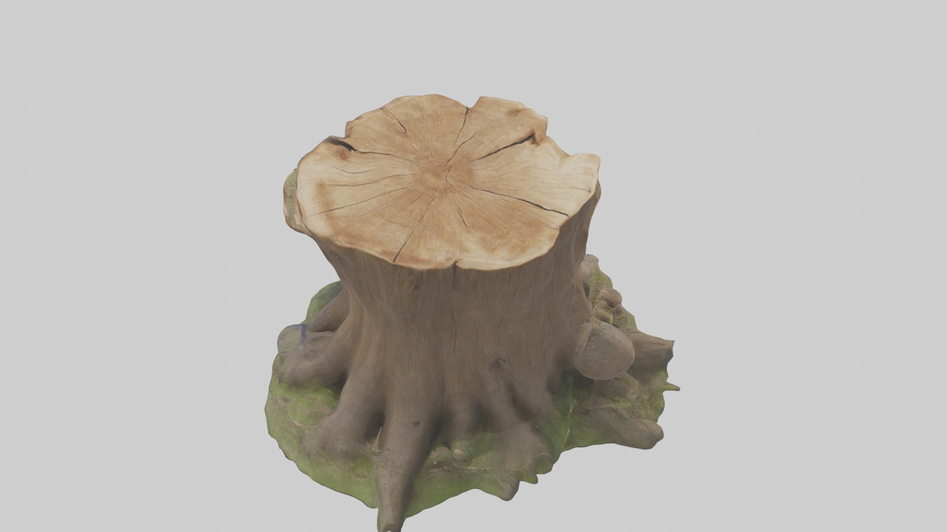 Stump Model Low-poly 3D model_9