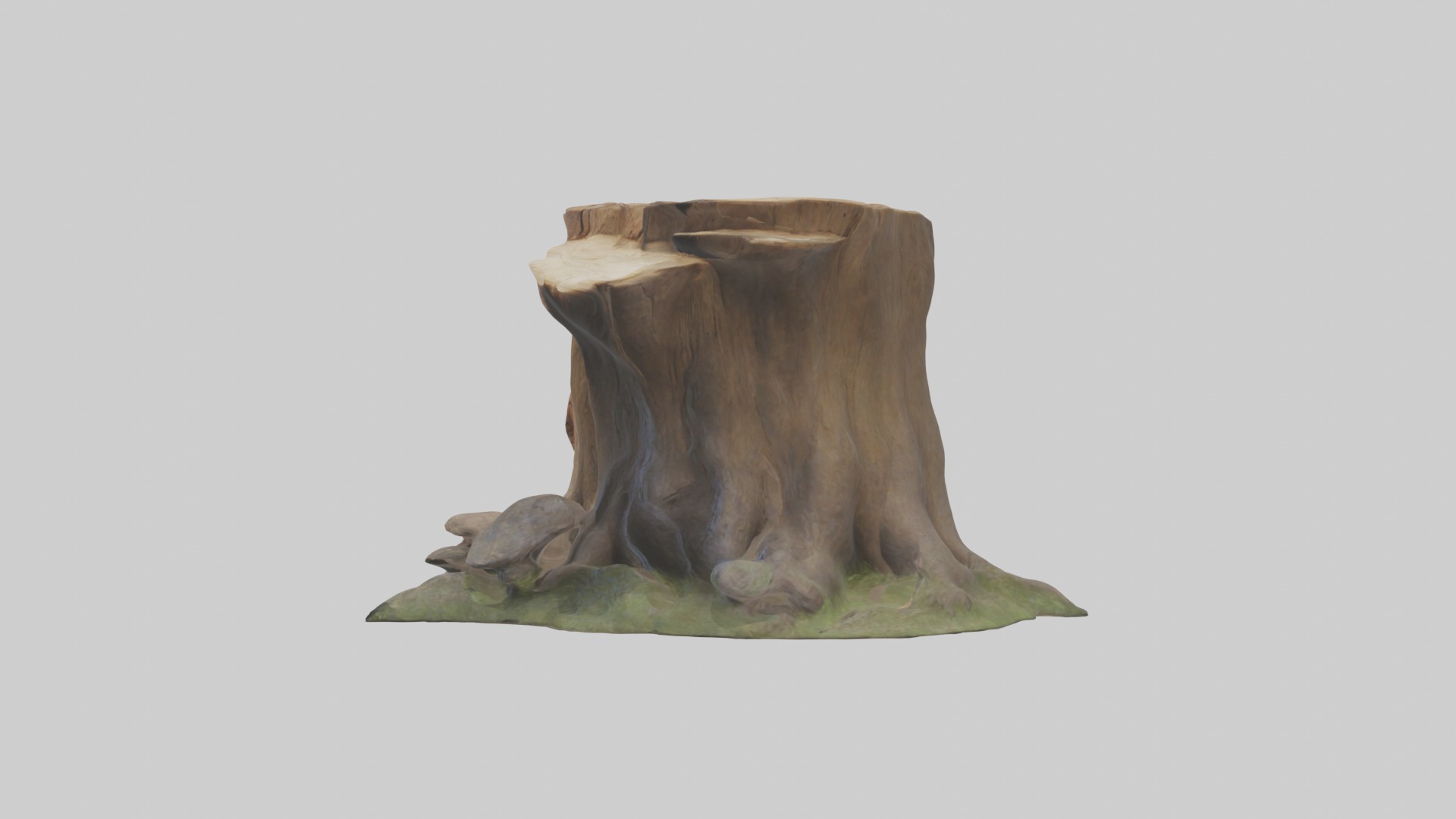 Stump Model Low-poly 3D model_6
