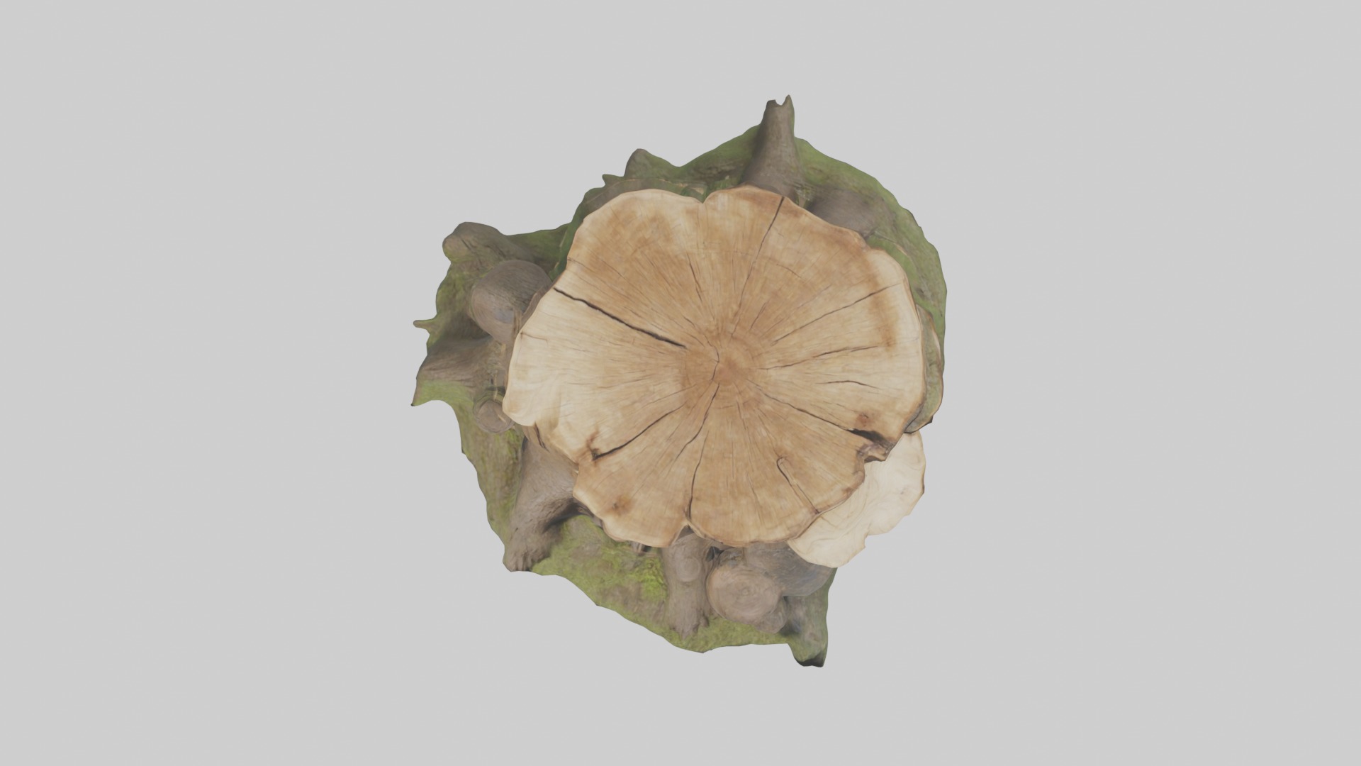 Stump Model Low-poly 3D model_8