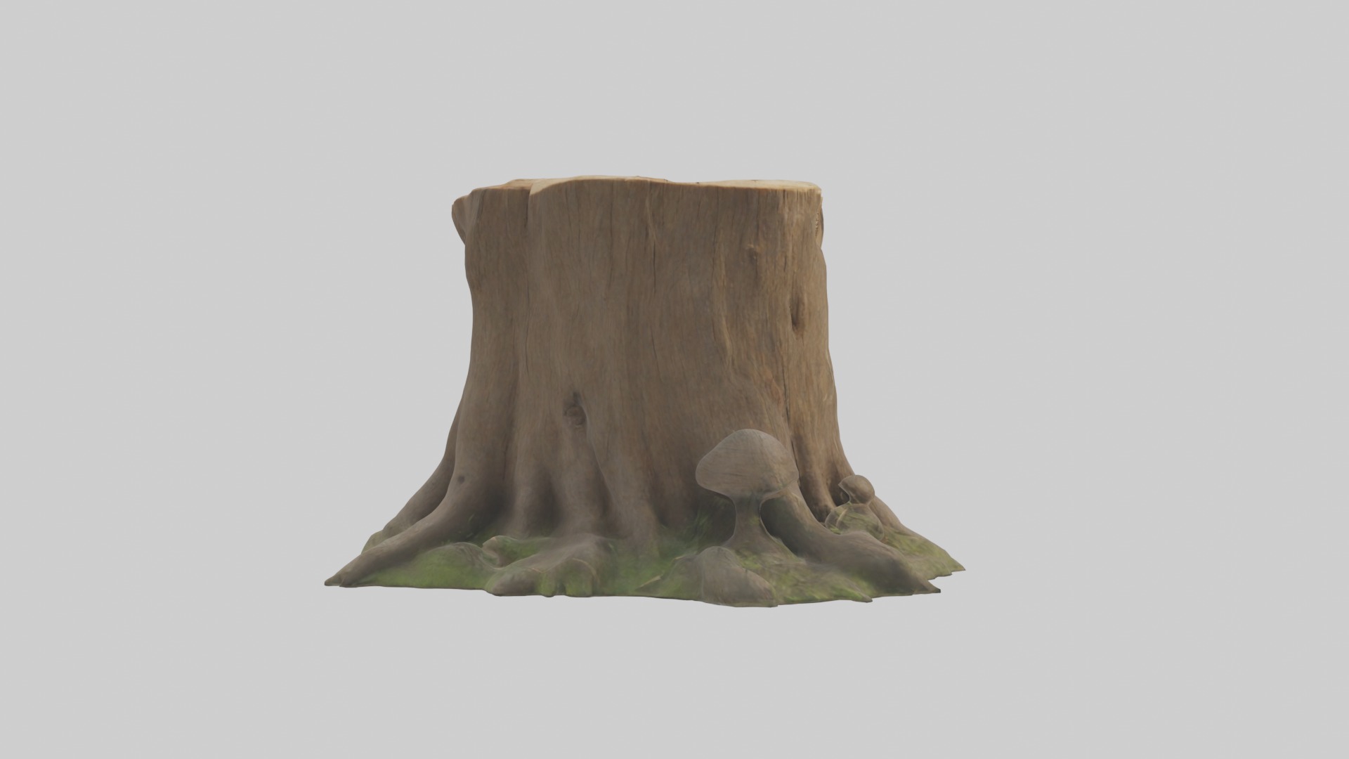 Stump Model Low-poly 3D model_2