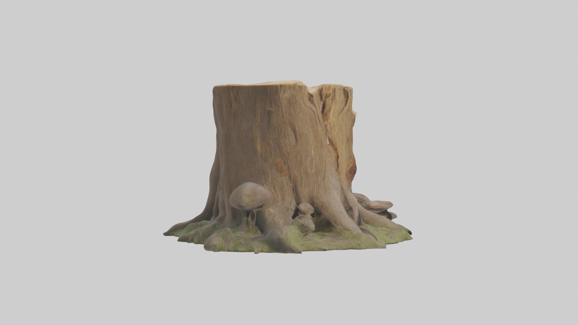 Stump Model Low-poly 3D model_7