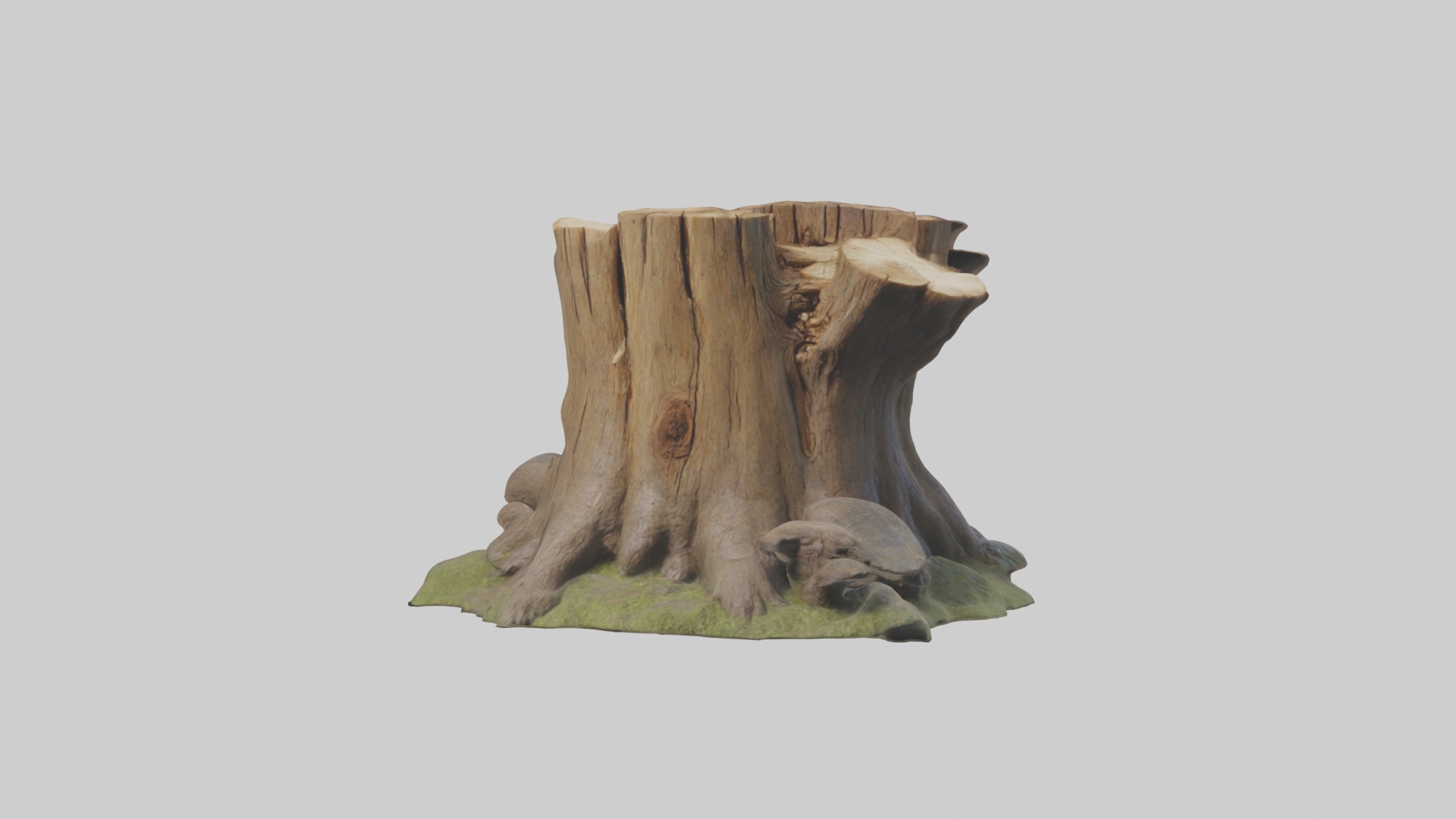 Stump Model Low-poly 3D model_3