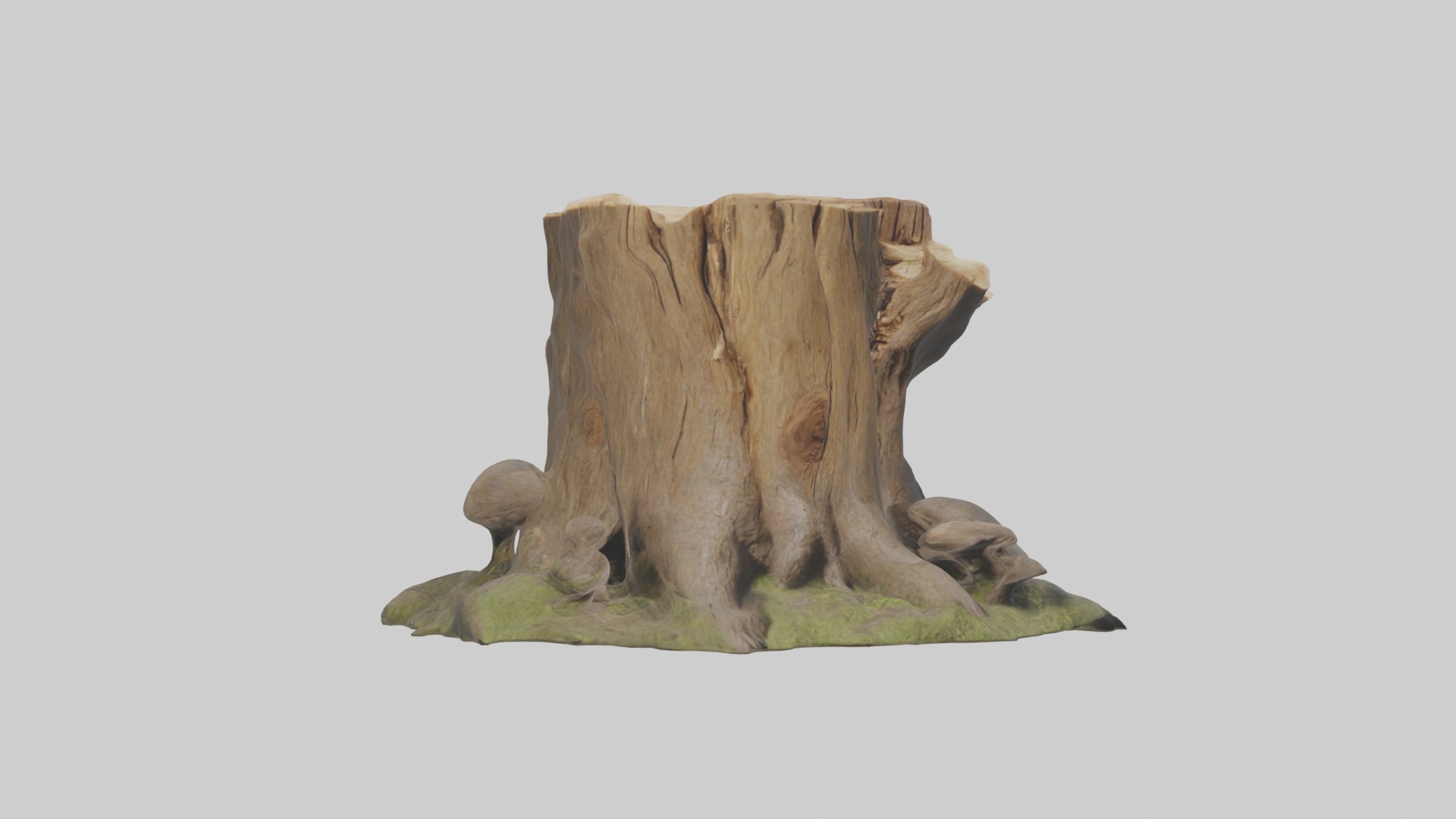 Stump Model Low-poly 3D model_5