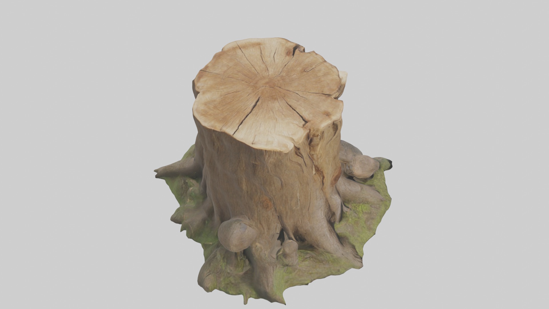 Stump Model Low-poly 3D model_12