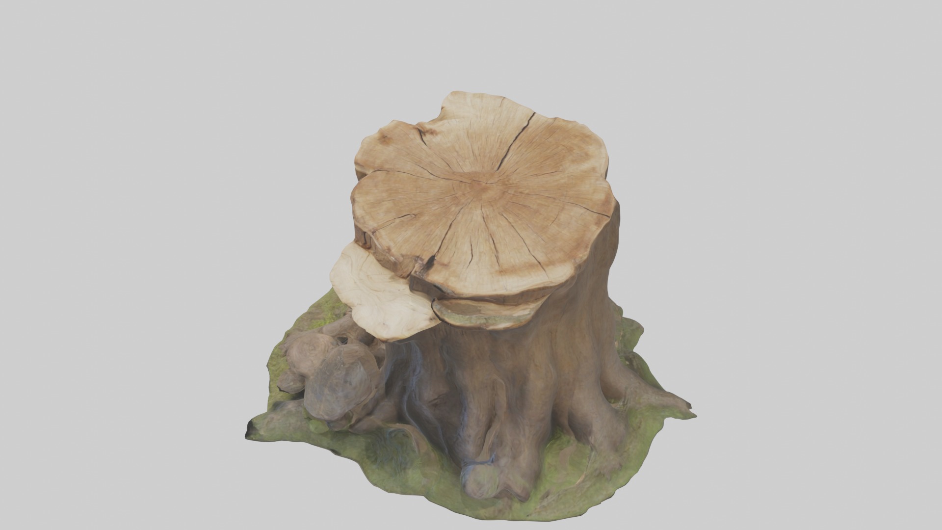 Stump Model Low-poly 3D model_11