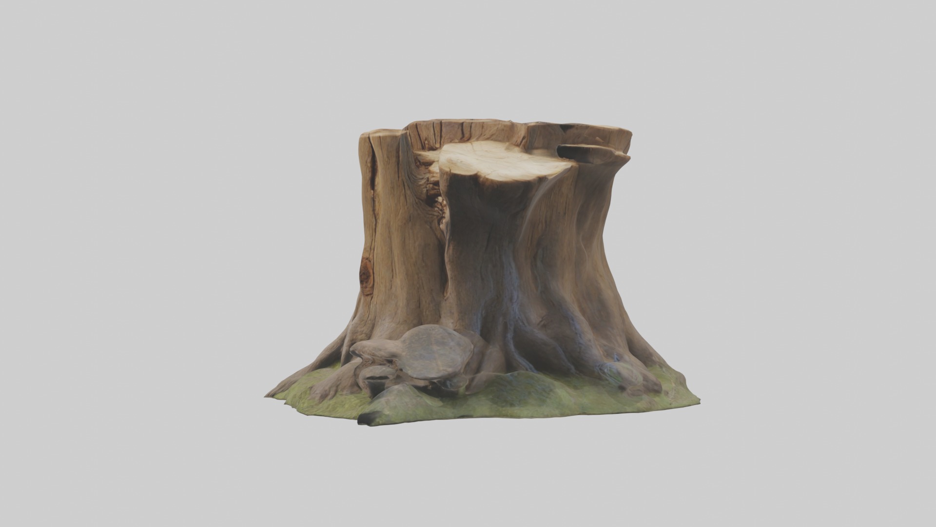 Stump Model Low-poly 3D model_4