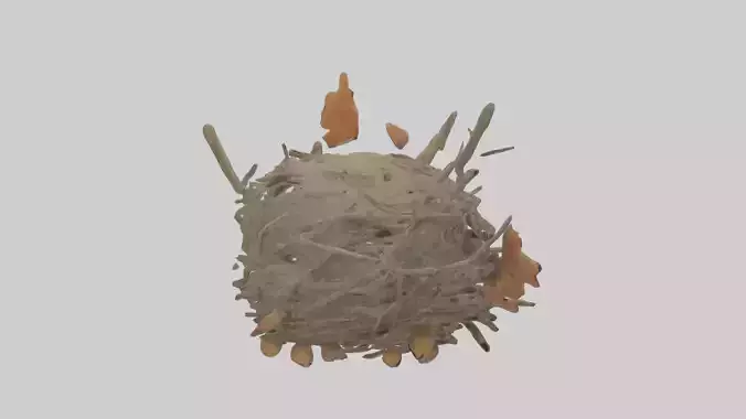 Squirrelnest Model