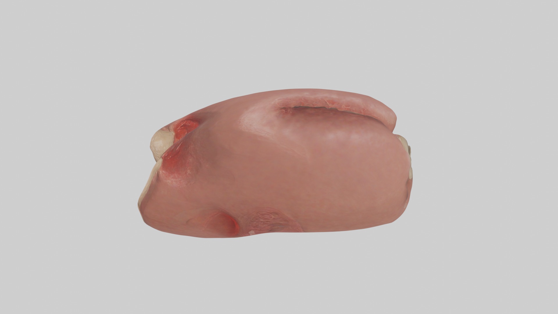 Spleen Model 1 Low-poly 3D model_11