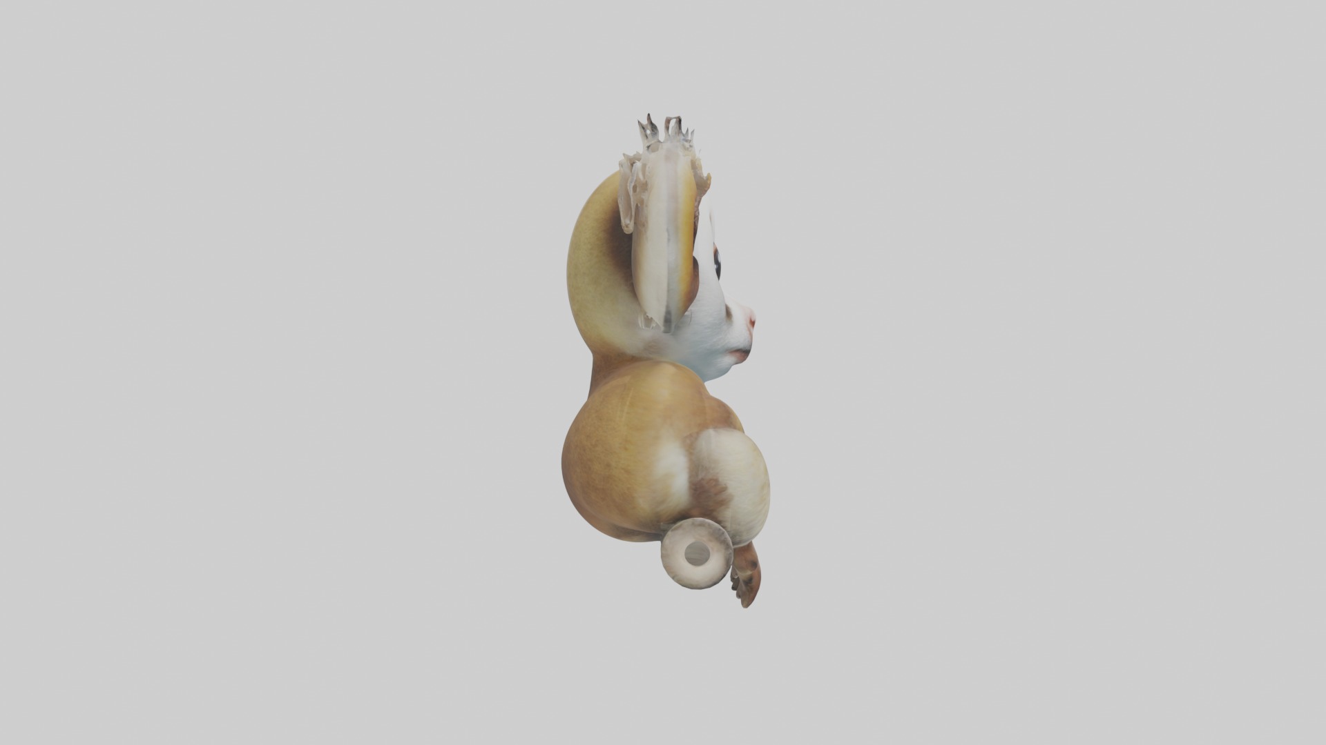Slow Loris Model 1 Low-poly 3D model_7