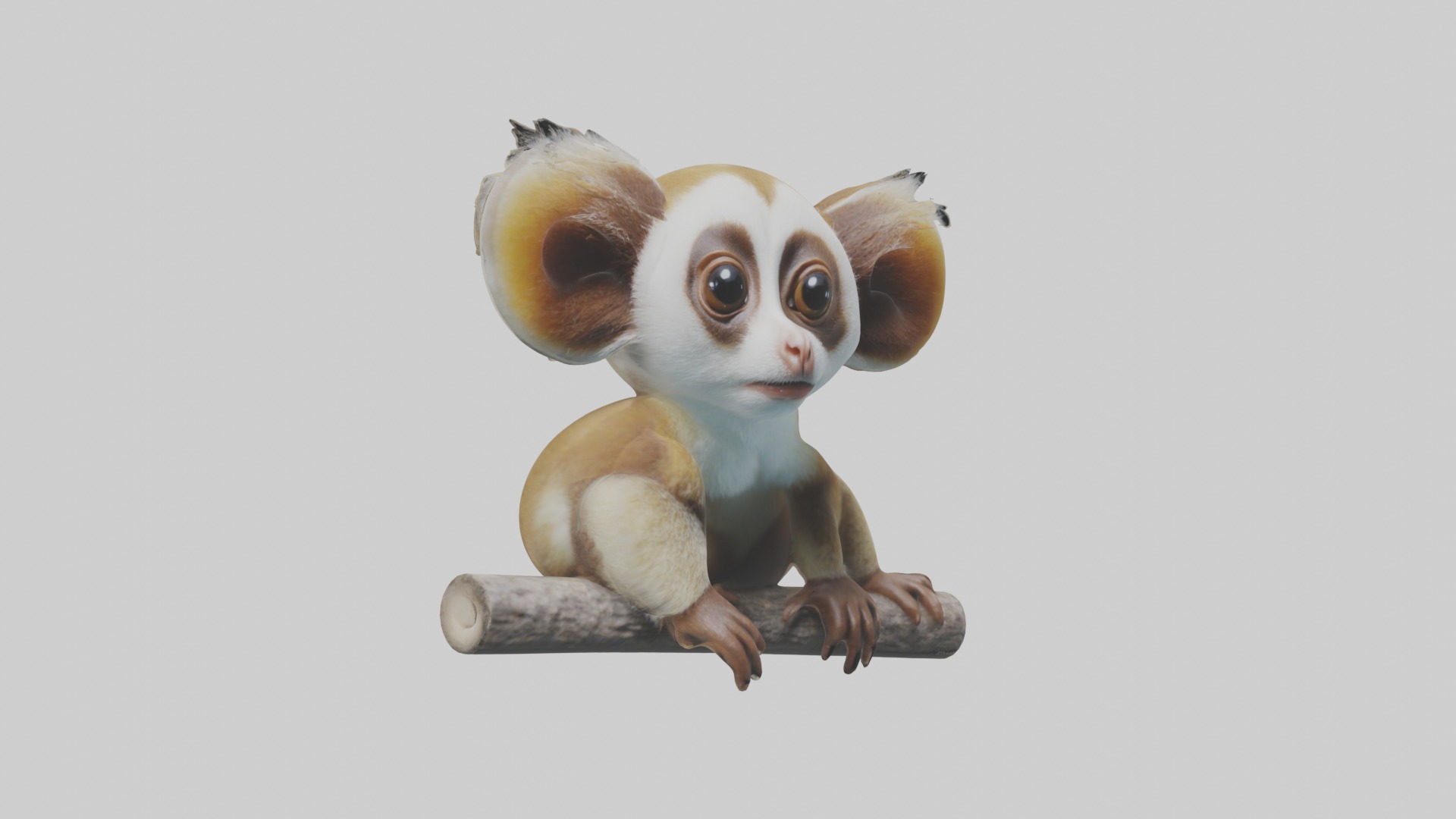 Slow Loris Model 1 Low-poly 3D model_5