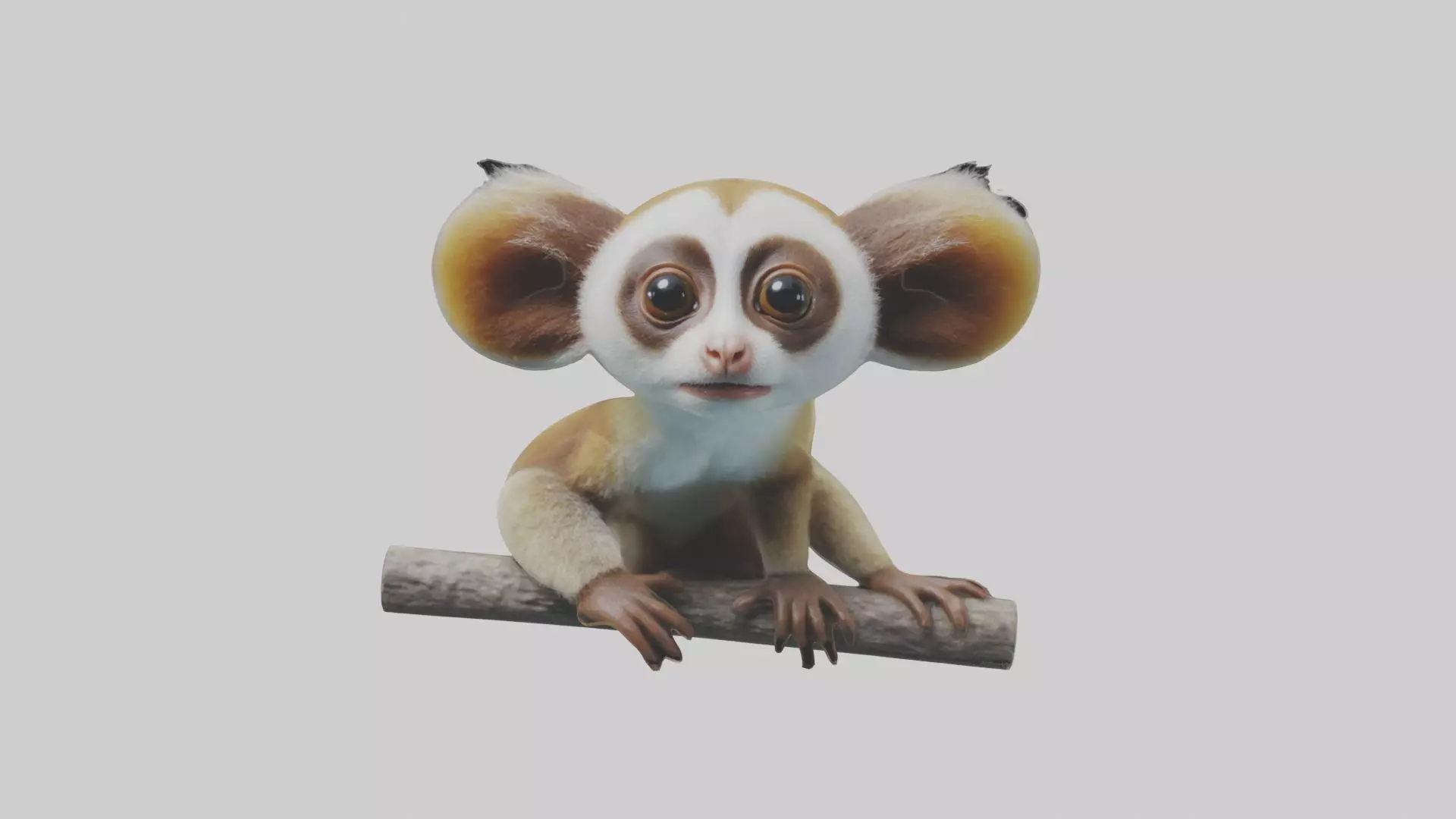 Slow Loris Model 1 Low-poly 3D model_0