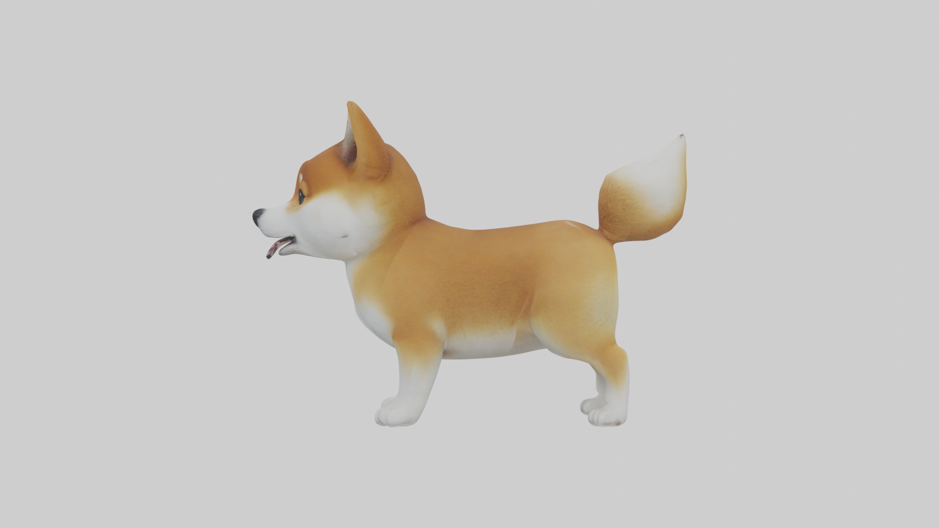 Shiba Inu Puppy Model 1 Low-poly 3D model_5