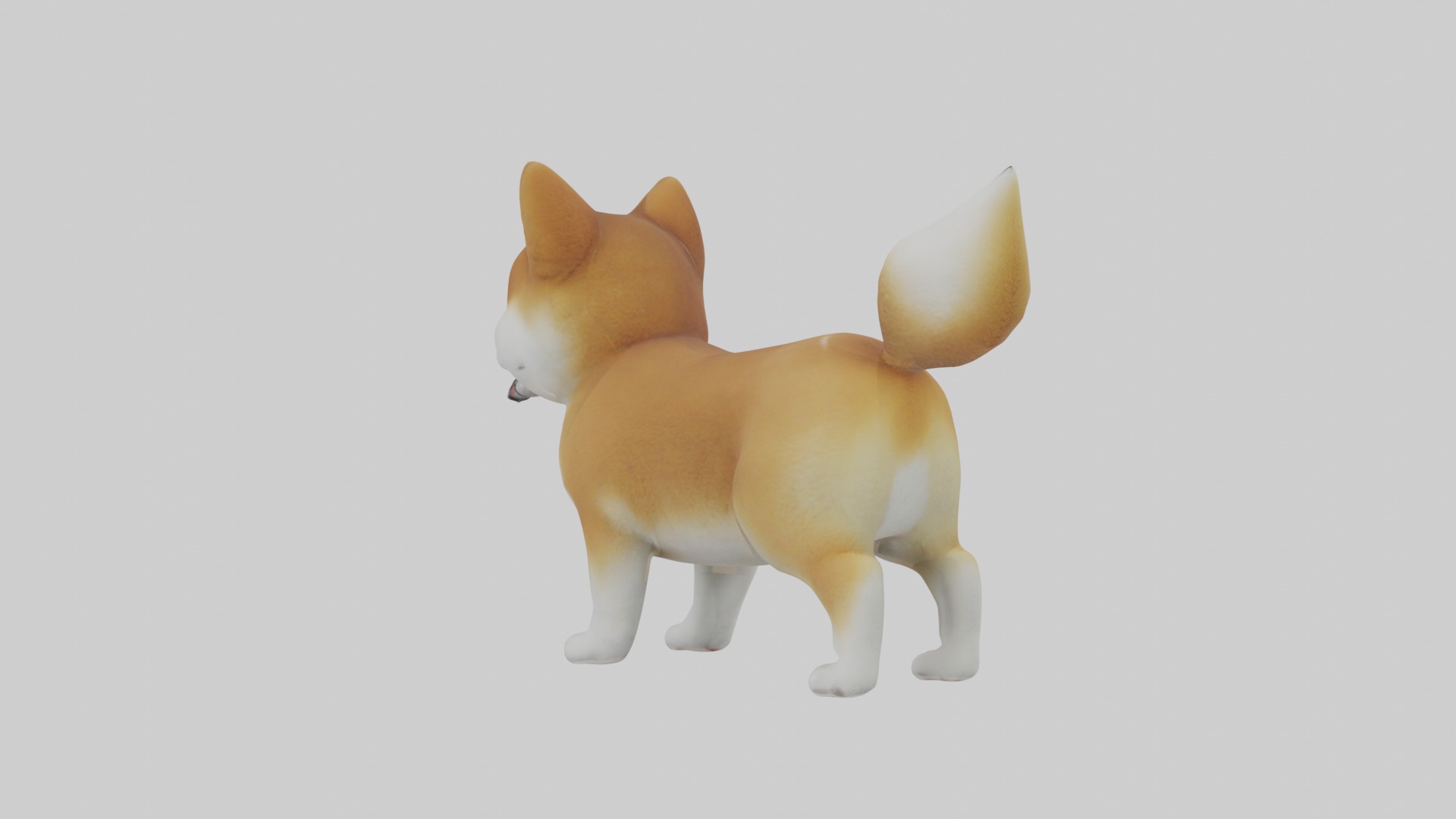 Shiba Inu Puppy Model 1 Low-poly 3D model_2