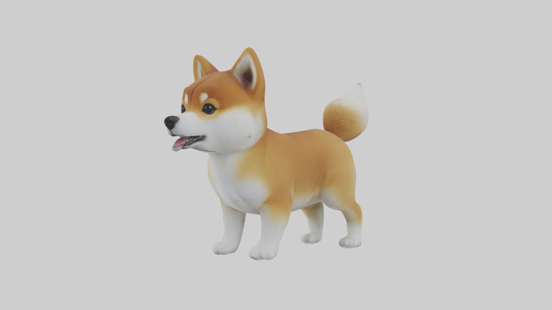 Shiba Inu Puppy Model 1 Low-poly 3D model_6