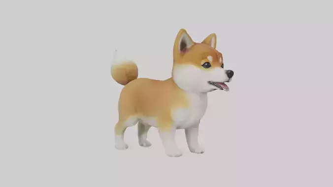 Shiba Inu Puppy Model 1