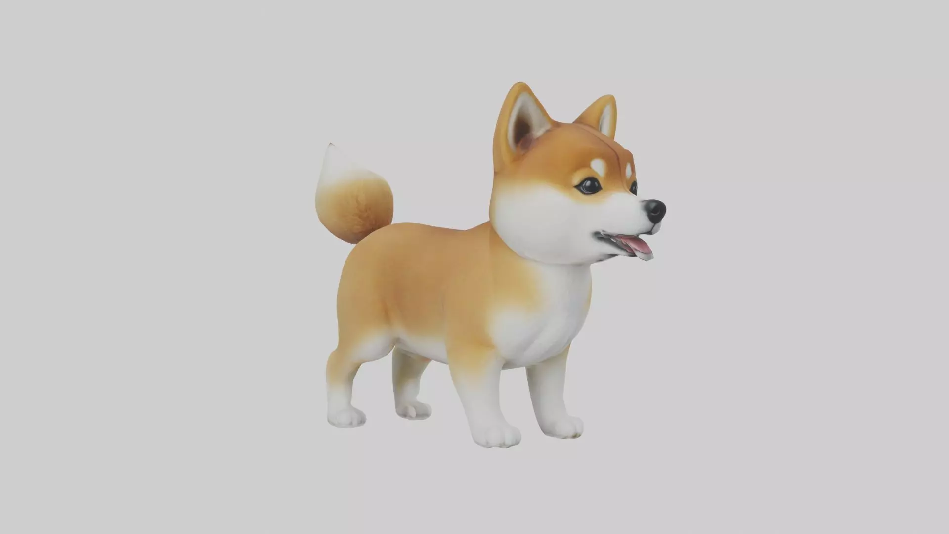 Shiba Inu Puppy Model 1 Low-poly 3D model_0