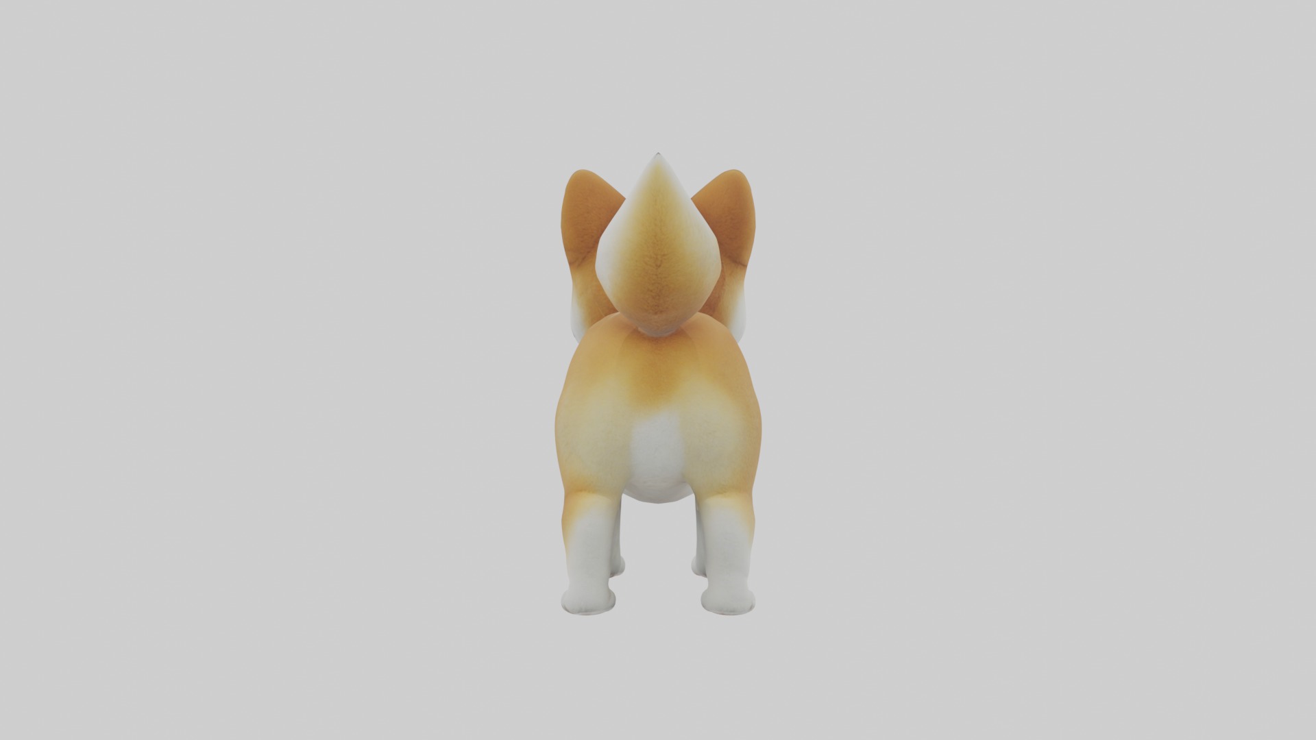 Shiba Inu Puppy Model 1 Low-poly 3D model_1