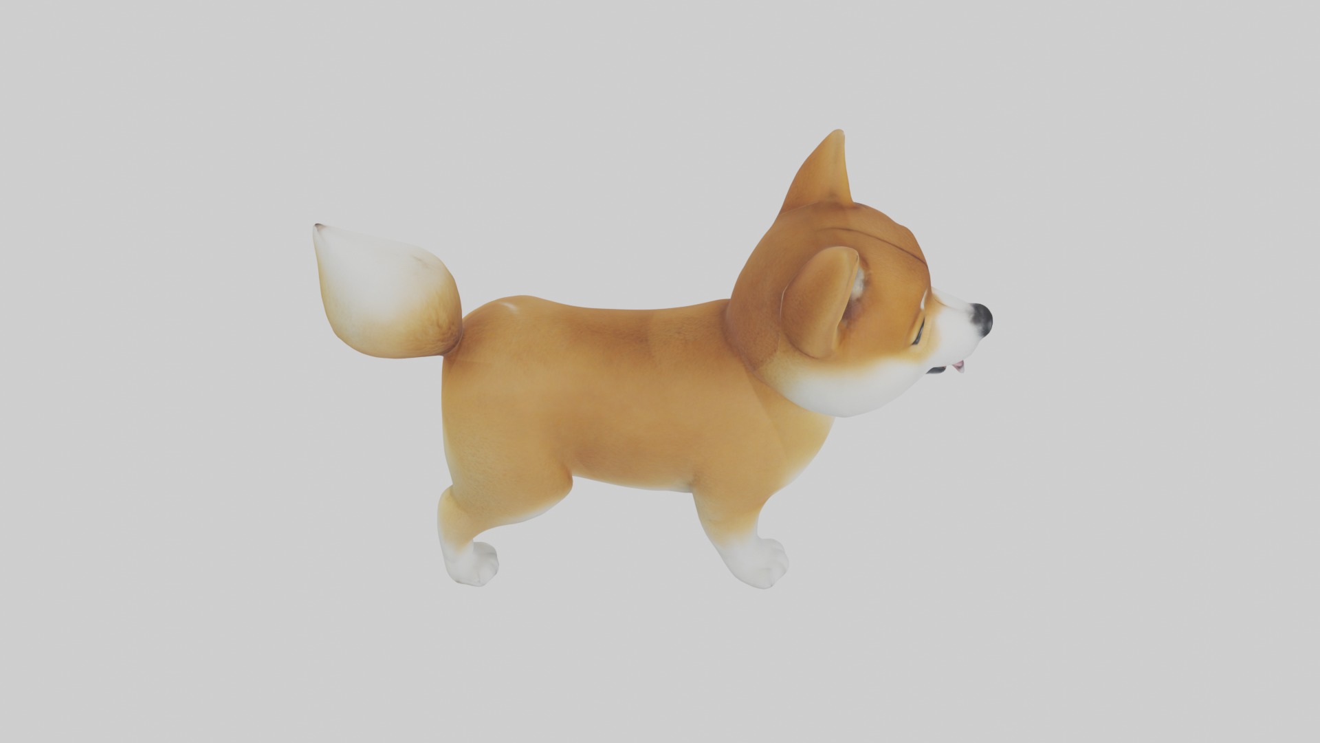 Shiba Inu Puppy Model 1 Low-poly 3D model_12