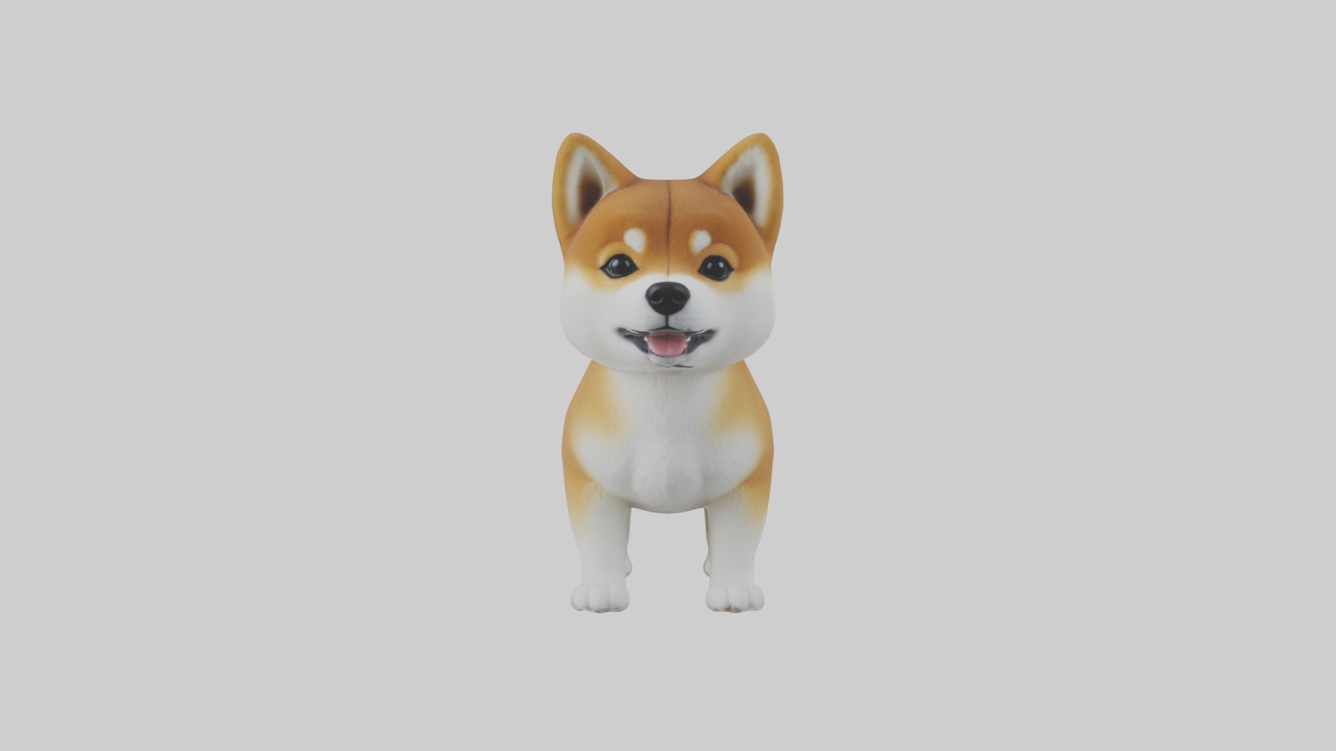 Shiba Inu Puppy Model 1 Low-poly 3D model_4