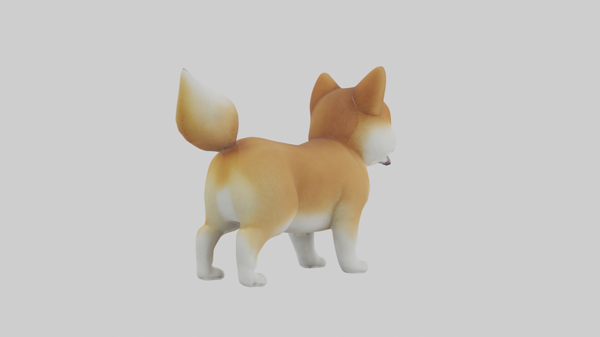 Shiba Inu Puppy Model 1 Low-poly 3D model_3