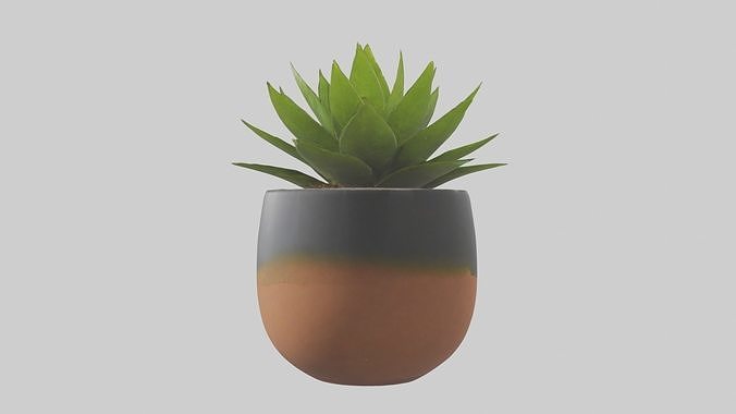Self Watering Plant P 1 Low-poly 3D model