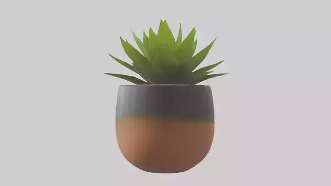 Self Watering Plant P 1 Low-poly 3D model