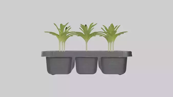 Seedlingtray Model