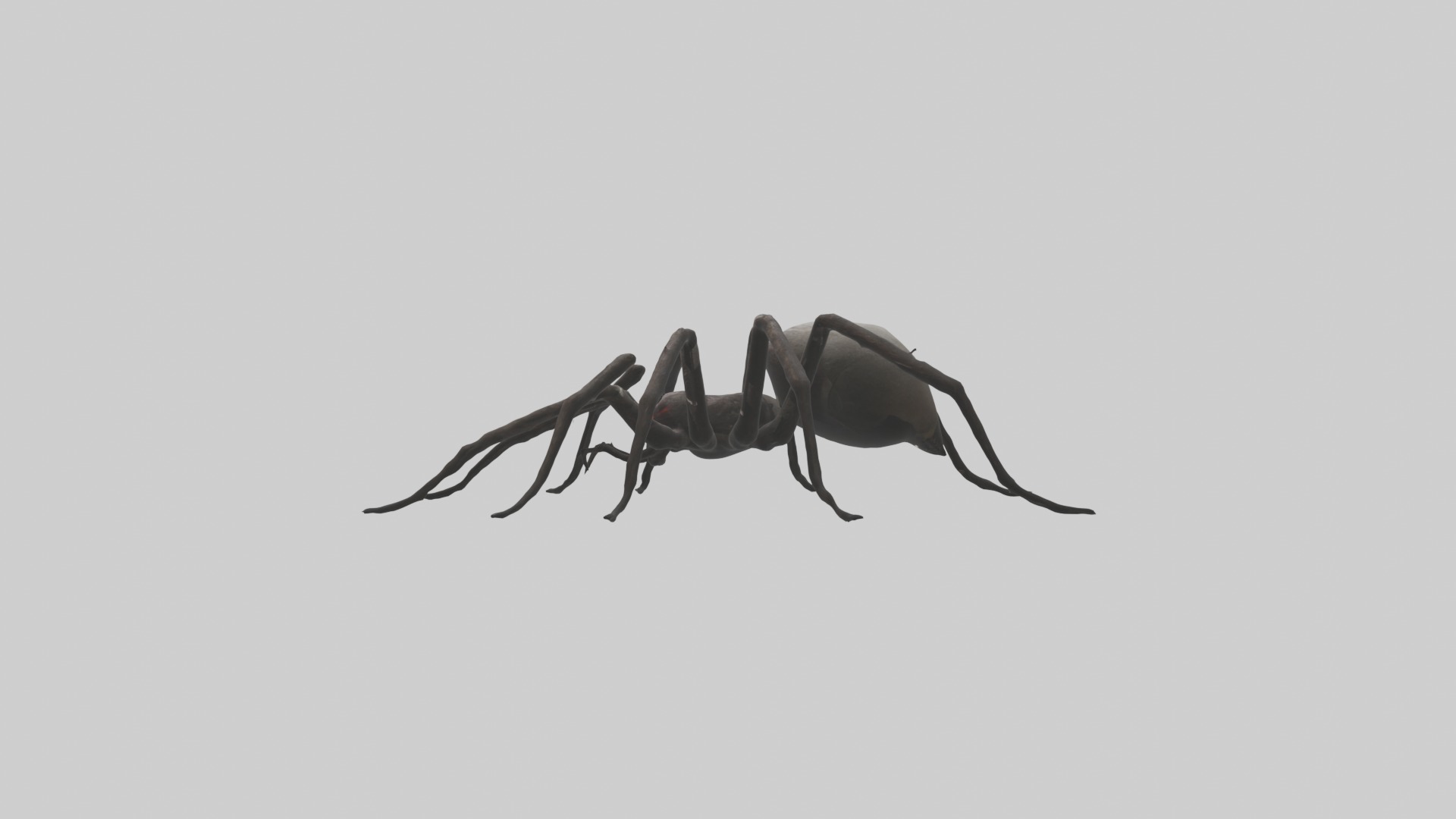 Scary Spider Model Low-poly 3D model_7