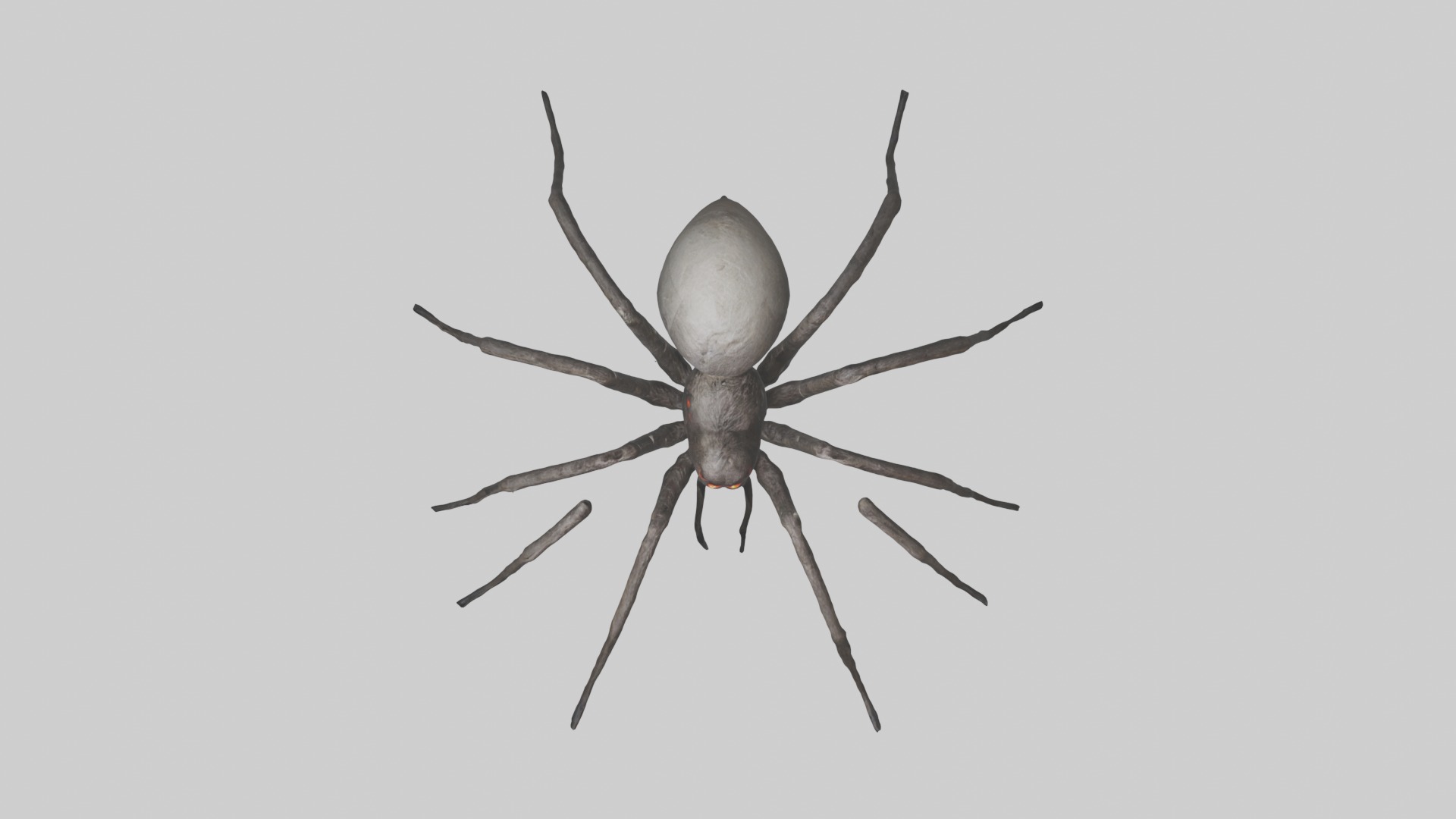 Scary Spider Model Low-poly 3D model_9