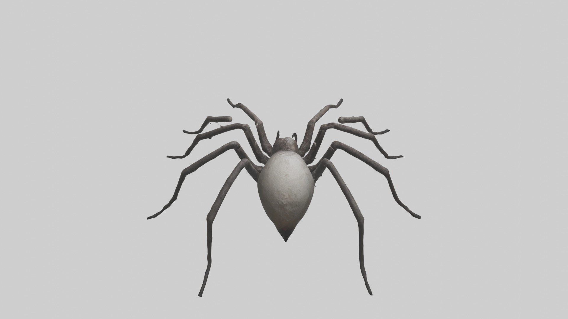 Scary Spider Model Low-poly 3D model_10