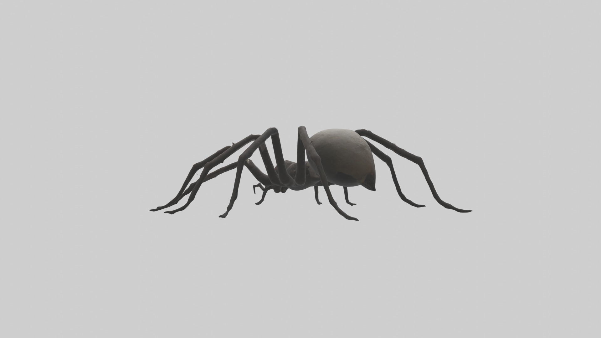 Scary Spider Model Low-poly 3D model_2
