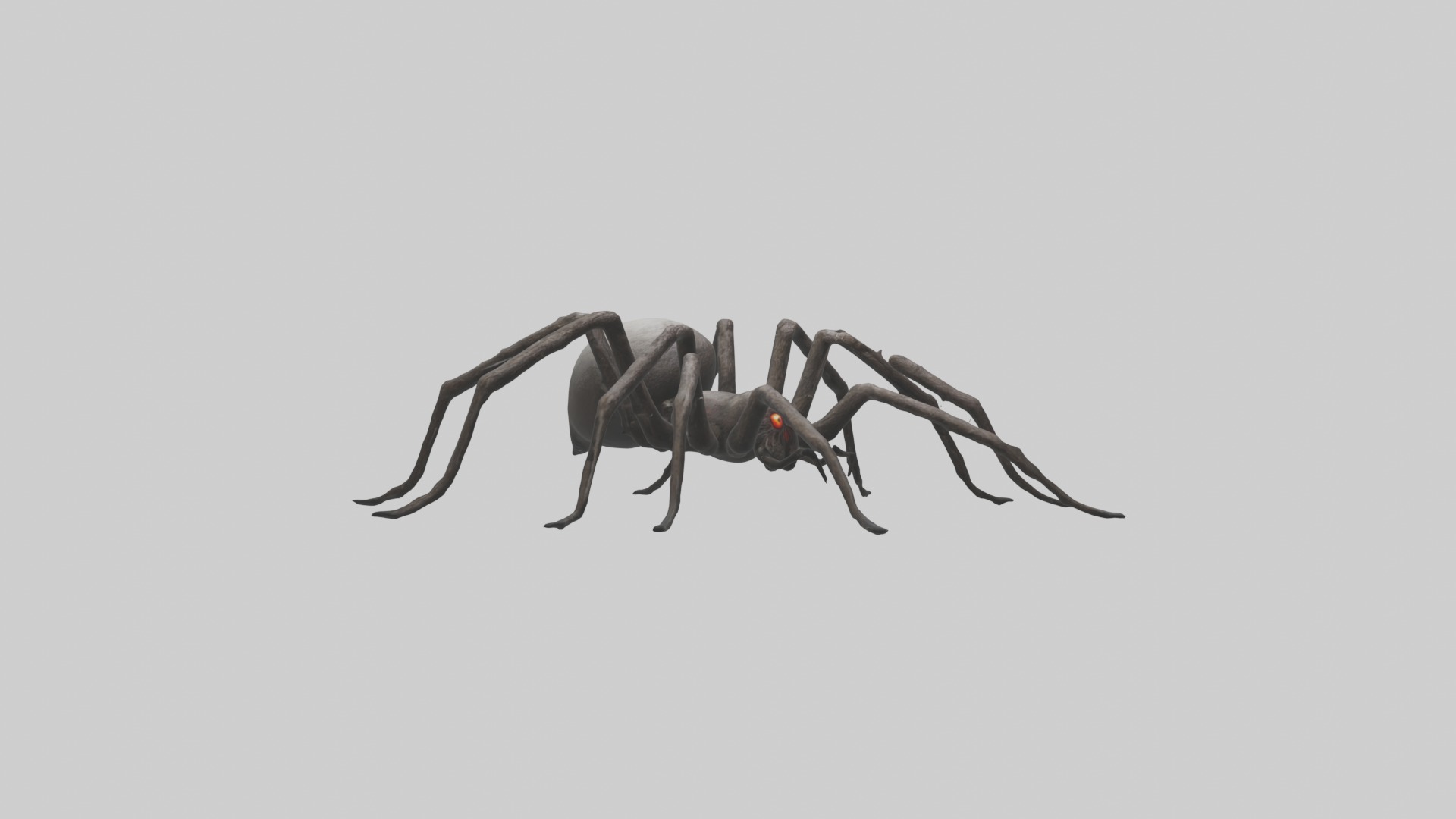 Scary Spider Model Low-poly 3D model_6