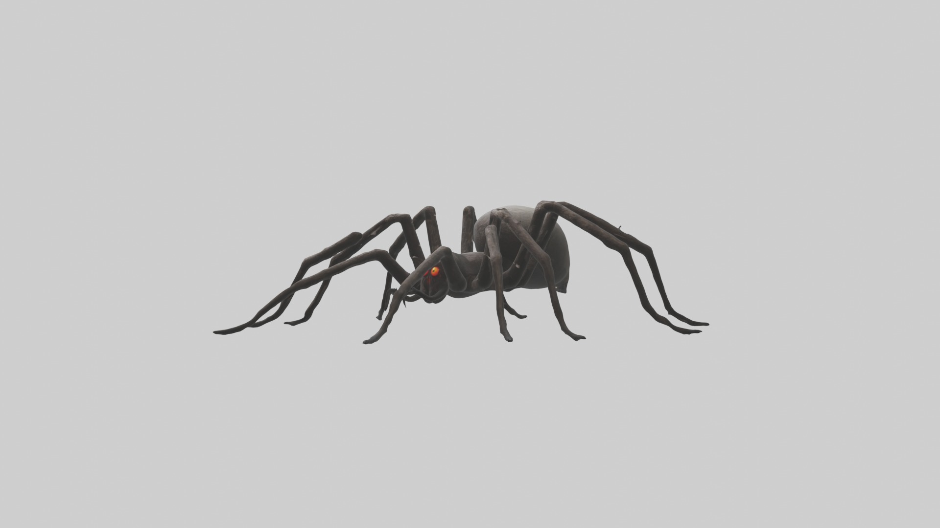 Scary Spider Model Low-poly 3D model_5