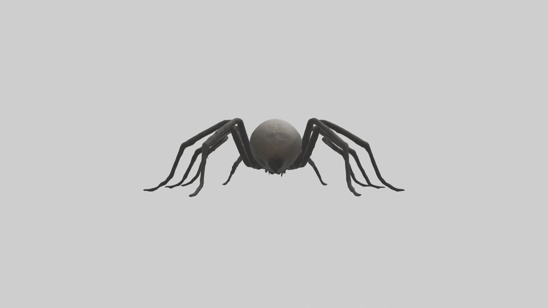 Scary Spider Model Low-poly 3D model_1
