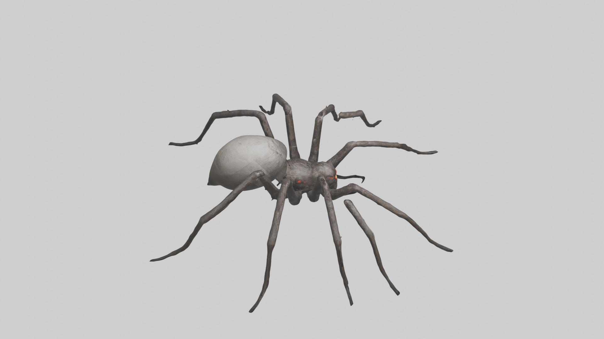 Scary Spider Model Low-poly 3D model_12