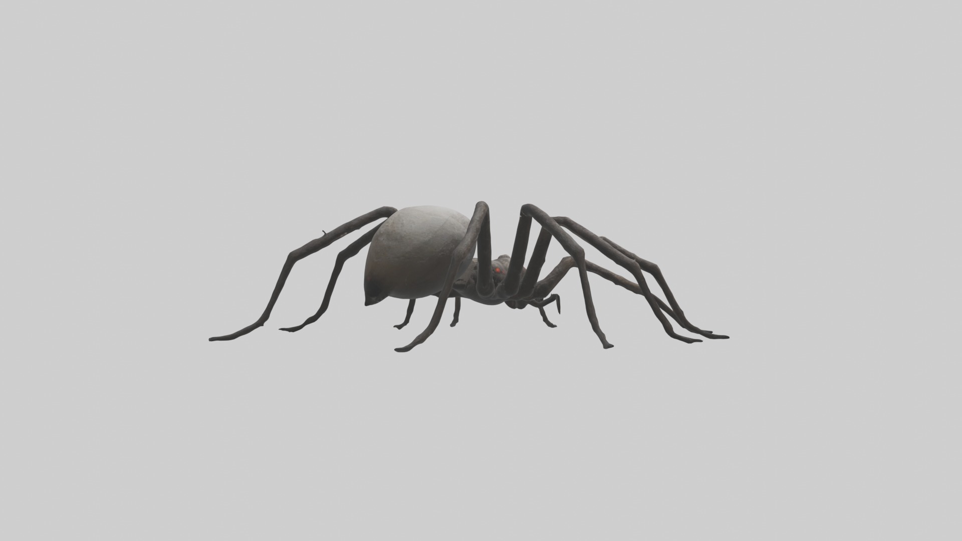 Scary Spider Model Low-poly 3D model_3