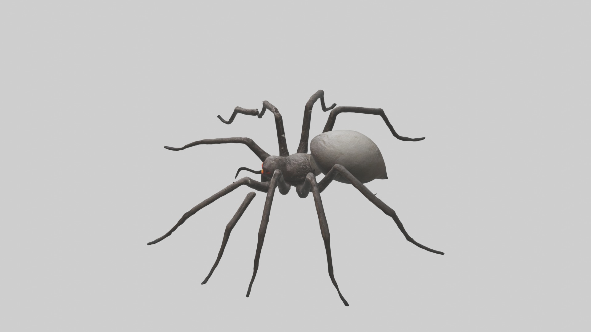 Scary Spider Model Low-poly 3D model_11