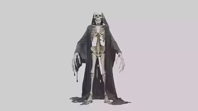 Scary Skeleton Model