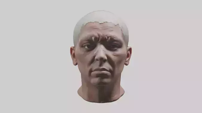 Scalpedhead Model Low-poly 3D model