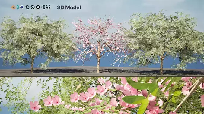 Almond Tree 3D Model with Free Tutorial Low-poly 3D model