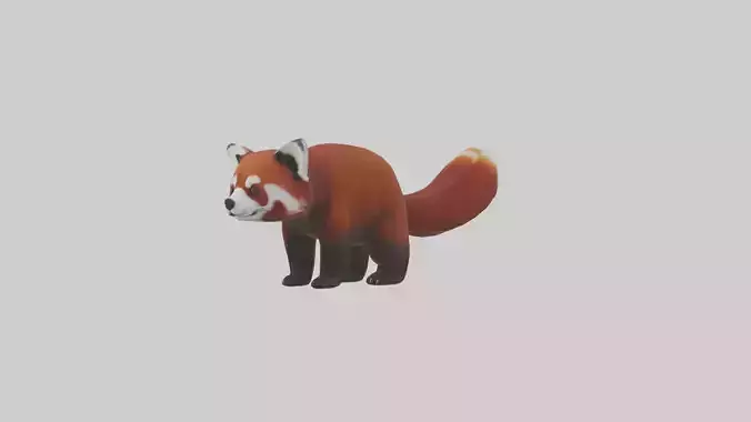 Red Panda Model 1