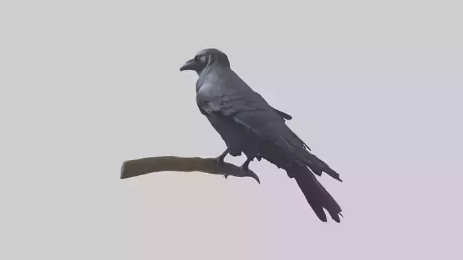 Raven Model