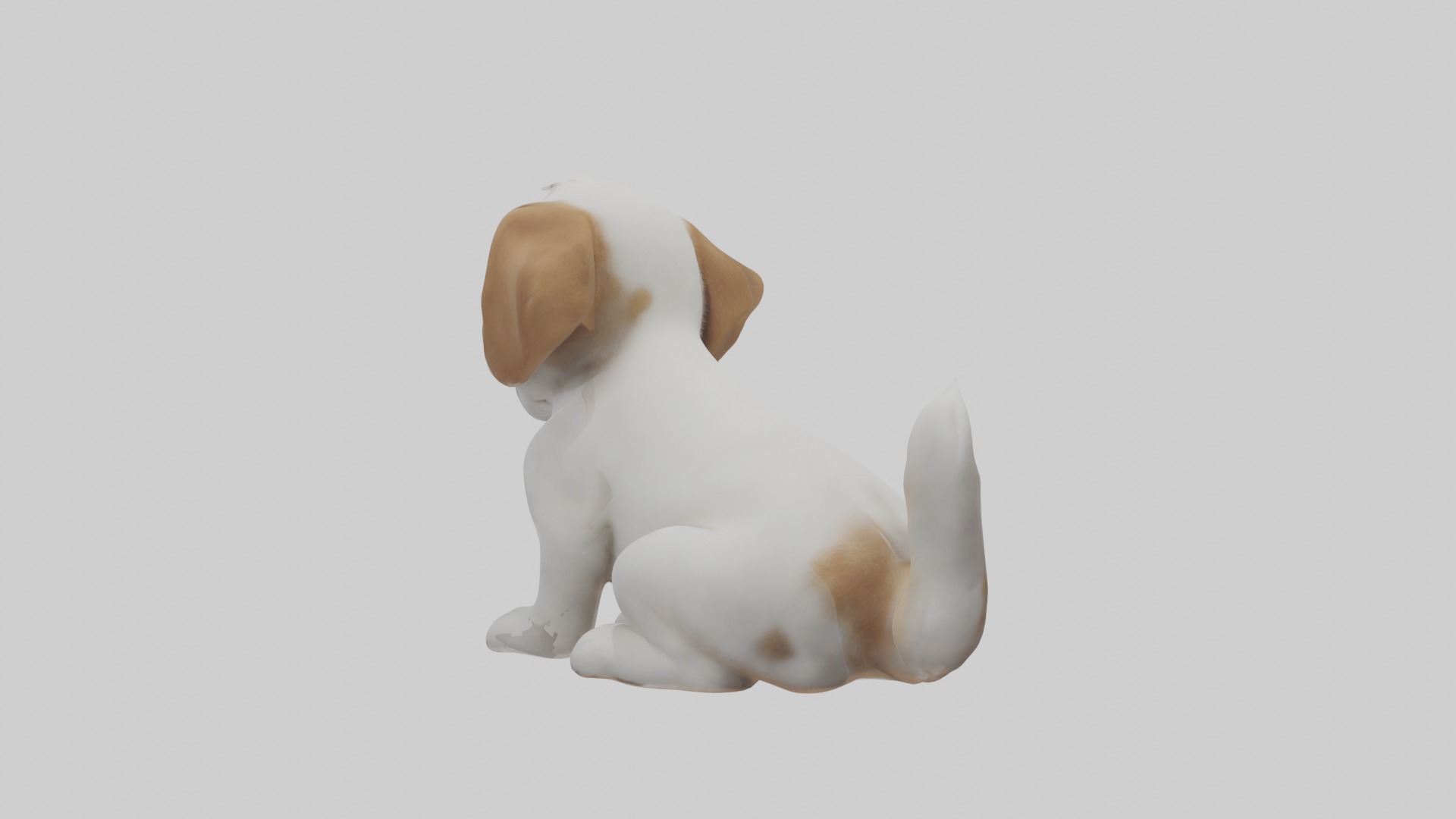 Puppy Model Low-poly 3D model_2