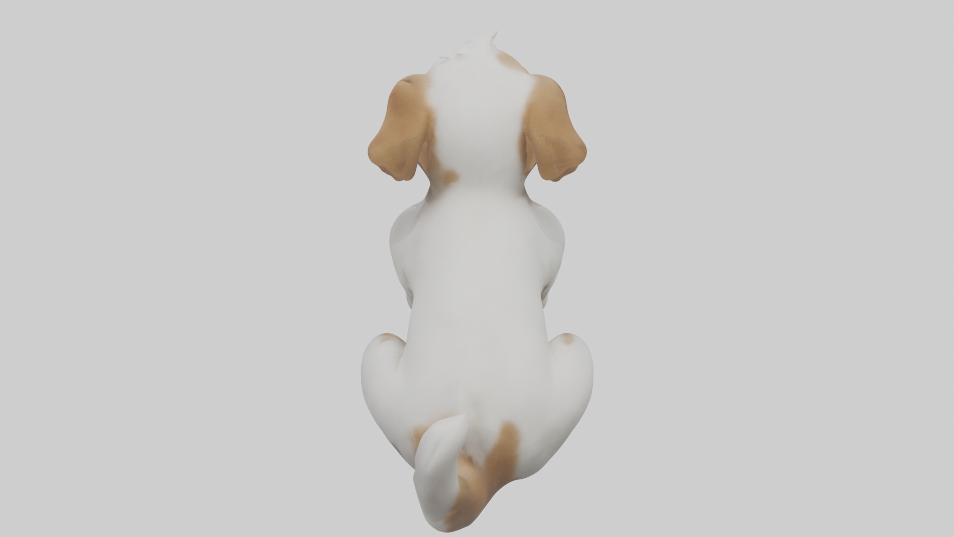 Puppy Model Low-poly 3D model_9