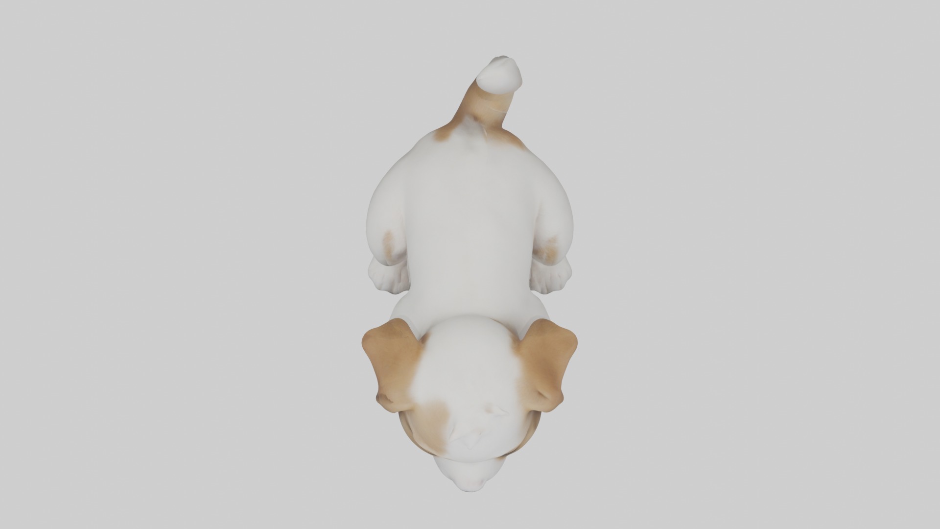 Puppy Model Low-poly 3D model_8