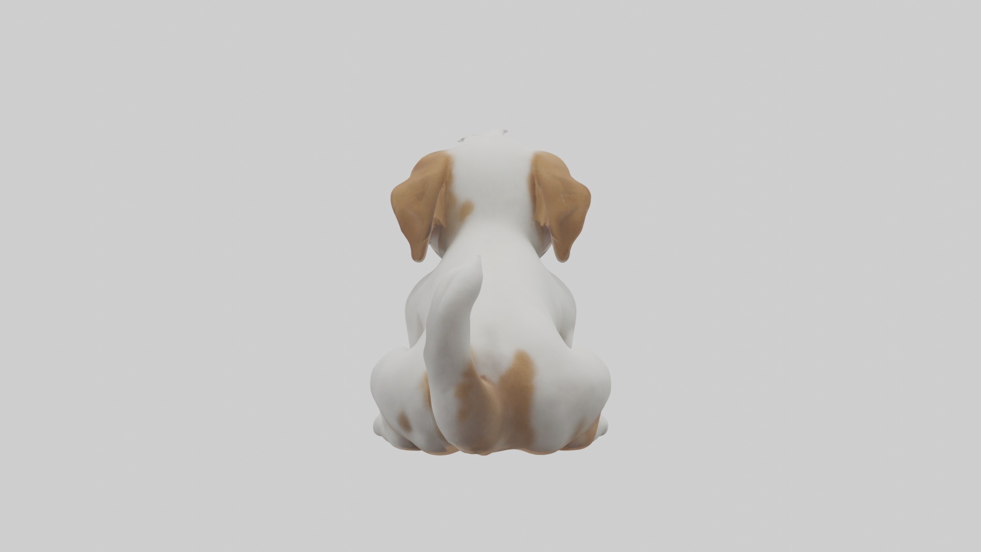 Puppy Model Low-poly 3D model_1