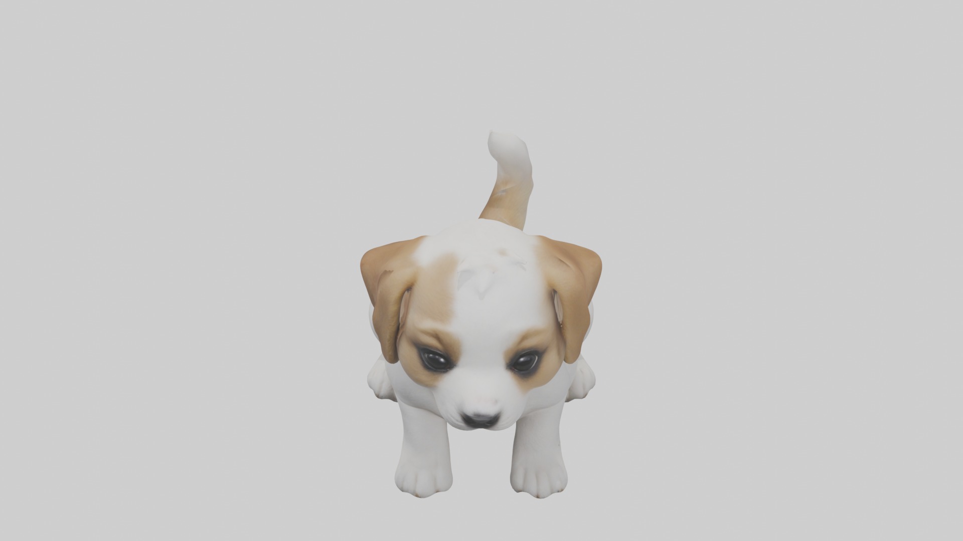 Puppy Model Low-poly 3D model_10