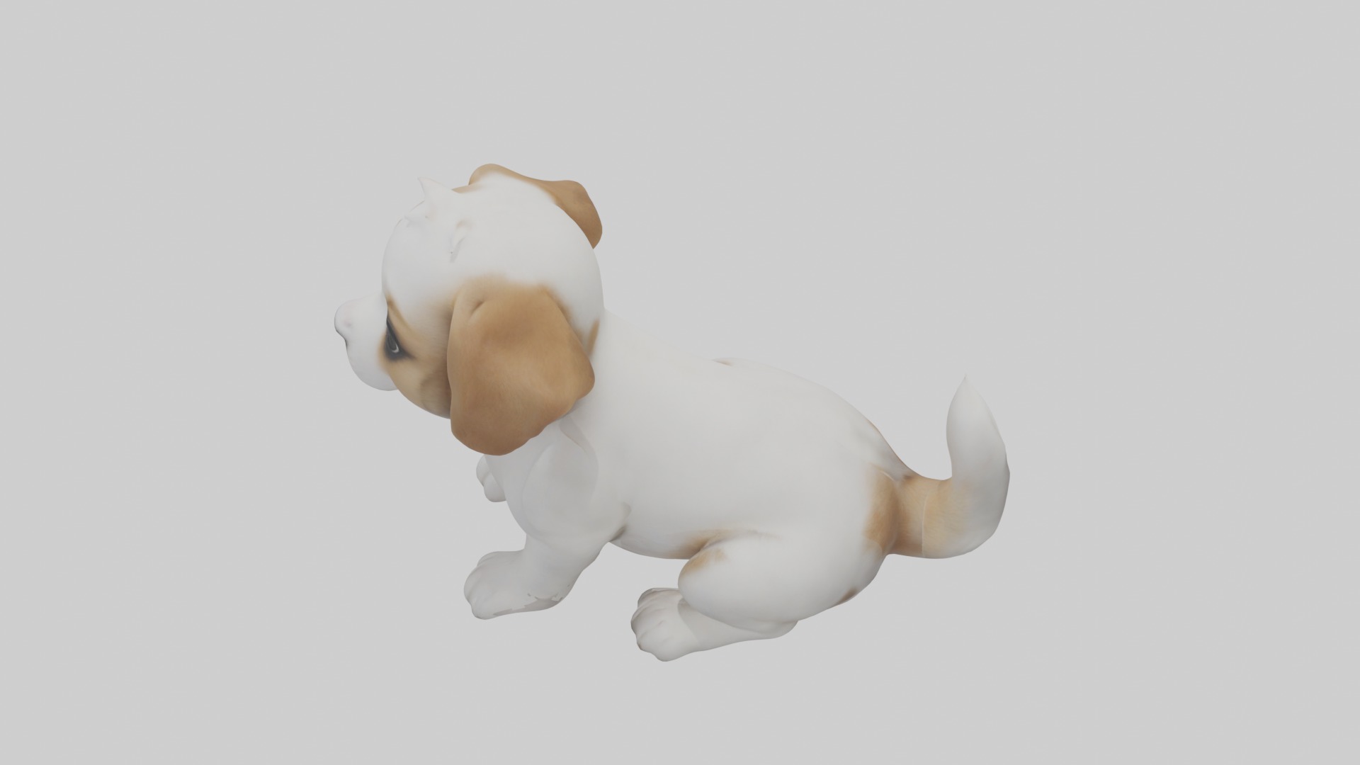 Puppy Model Low-poly 3D model_11