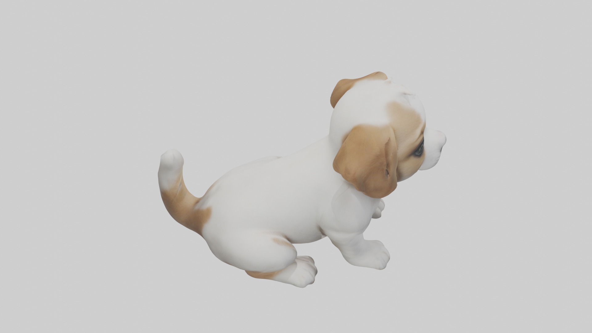 Puppy Model Low-poly 3D model_12