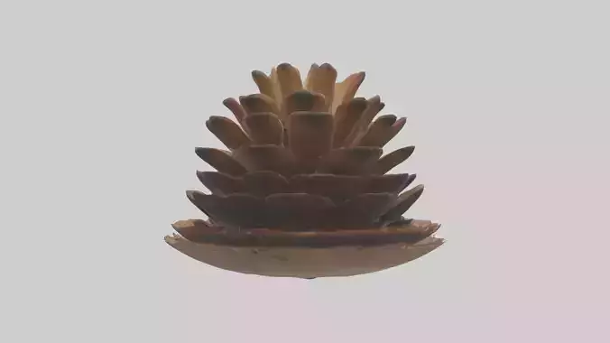 Pinecone Model